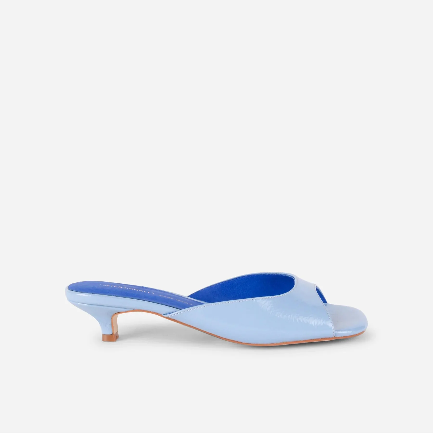 INTENTIONALLY BLANK CEE SLIDES IN LIGHT BLUE - Image 2