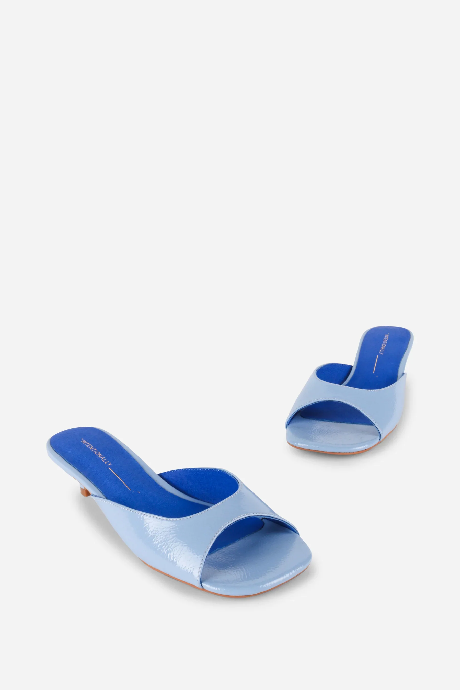 INTENTIONALLY BLANK CEE SLIDES IN LIGHT BLUE - Image 6